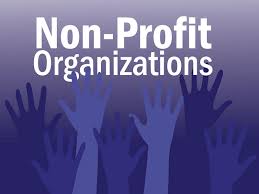NGO Audit